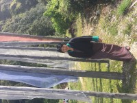 Dorji Choden