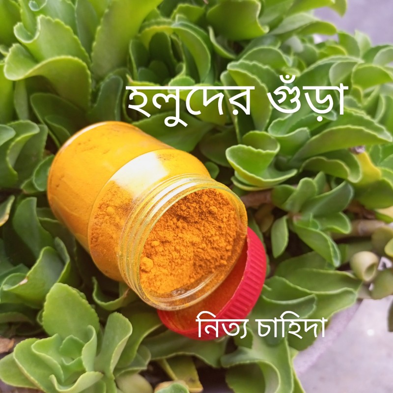 Turmeric powder