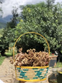 Gift basket